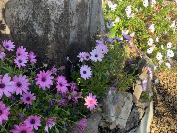 La Bastide Massimo - Restaurant Marseille - Restaurant sympa Marseille